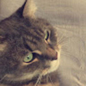 Meet your Posher, Leia
